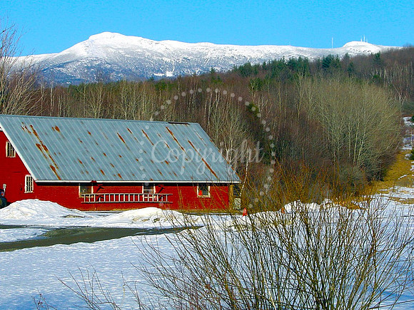 Snowy Barnyard Mountain Views